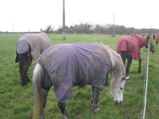 LUDON - PALOUMEY-gironde