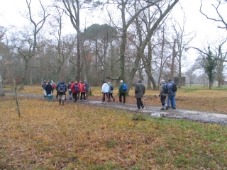 CHAPELLE SAINT-RAPHAEL ET FORET-gironde