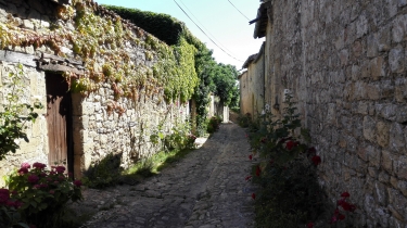 BORDS DE GARONNE DE SAINT-MACAIRE A CASTETS-EN-DORTHE-gironde