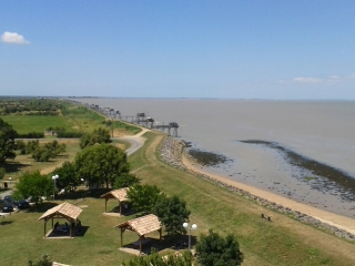 DANS LE MEDOC AU BORD DE L ESTUAIRE DE LA GIRONDE-gironde