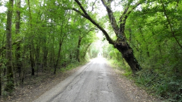 LES BILLAUX - RANDONNEE DU BOCAGE -gironde