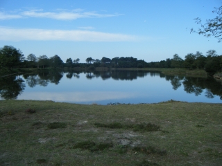 AUTOUR DE SAUMOS-gironde