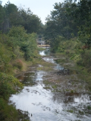 AUTOUR DE SAUMOS-gironde