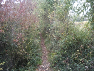 BOUCLE BAURECH - LE TOURNE - TABANAC-gironde