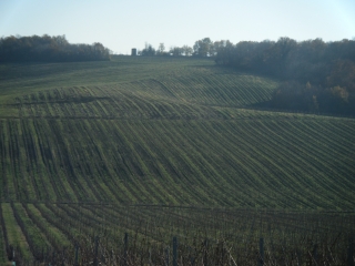 BOUCLE DE LA SAUVE-MAJEURE-gironde