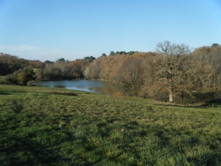 BOUCLE DE LA SAUVE-MAJEURE-gironde