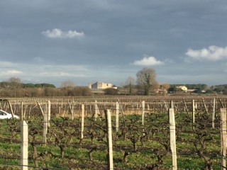 FARGUES PRES DE LANGON-gironde
