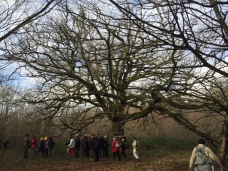 FARGUES PRES DE LANGON-gironde