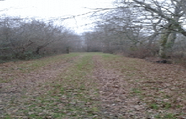 BOUCLE MOULIS EN MEDOC-gironde