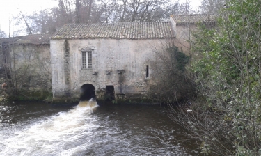 BOUCLE MOULIS EN MEDOC-gironde