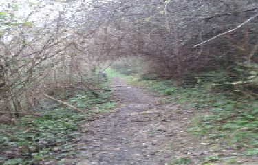 BOUCLE D ILLATS -gironde