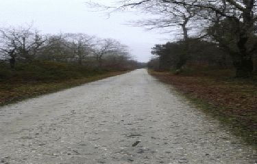 BOUCLE D ILLATS -gironde