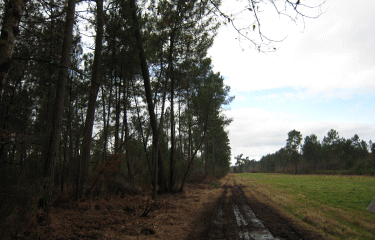 Saint Aubin du Medoc -gironde