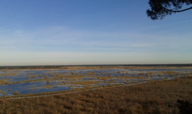 BOUCLE DE L ETANG DE COUSSEAU-gironde