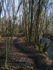 TOUR DU PIAN-gironde