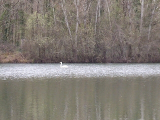 25KM AU SUD DE GUITRES-gironde