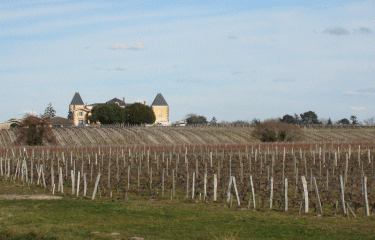 Leognan-gironde