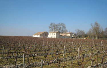 Margaux-gironde