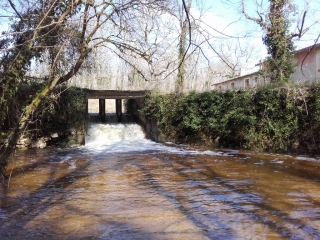 LA BREDE PAR L ARIEY-gironde