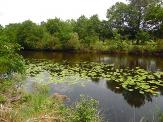 CANAL DES ETANGS BATEJIN-gironde