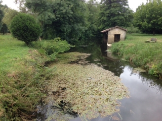 DE LA GARONNE AU CIRON-gironde