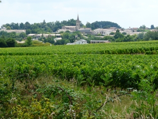 LEOGNAN - MARTILLAC - ENTRE VIGNES ET FORETS-gironde