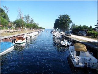 RANDO LACANAU (PONT DU CANAL DES ETANGS-CARCANS LE MONTAUT)-gironde