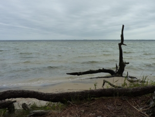CARCANS - QUARTIER MAUBUISSON - POINTE DE COBEN-gironde