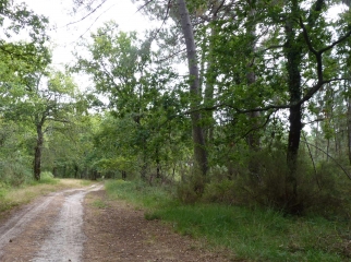 HOURTIN-PORT-gironde