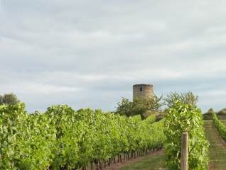TOUR DU VILLAGE DE GENSAC-gironde
