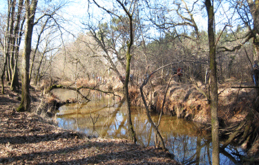 Autour de Mios-gironde