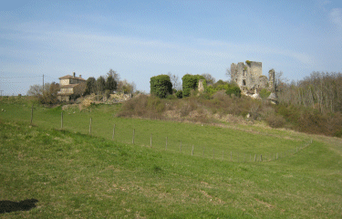 St Etienne de Lisse -gironde