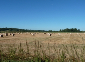 COUTURES (COUTURES-SUR-DROPT) -gironde