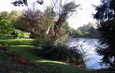 BOUCLE DE NERIGEAN-gironde