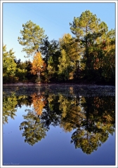 BOUCLE DU PIAN MEDOC-gironde