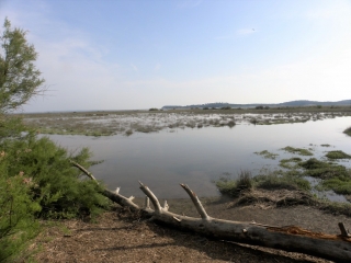 ARES - LES PRES SALES-gironde