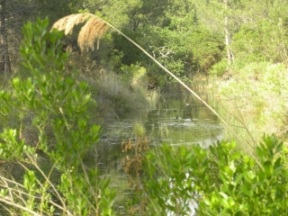 ARES - LES PRES SALES-gironde