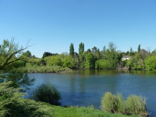 SAINT-AVIT-SAINT-NAZAIRE - BORD DE LA DORDOGNE-gironde