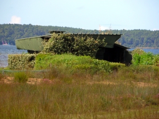 LACANAU - VIREVIELLE-gironde