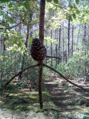 LACANAU - LEDE DE LUCHIT-gironde