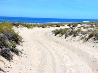 PLAGE DE L ALEXANDRE-gironde