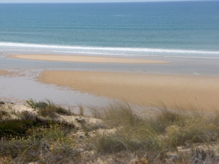 PLAGE DE L ALEXANDRE-gironde