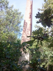 LACANAU - LA FORGE-gironde