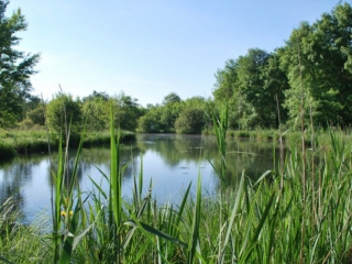 LES COTEAUX DE TAURIAC ET LES BORDS DU MORON-gironde