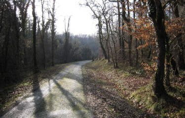 AUTOUR DE MADIRAC-gironde
