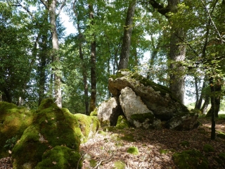 BELLEFOND - LA BOUCLE DES DOLMENS-gironde