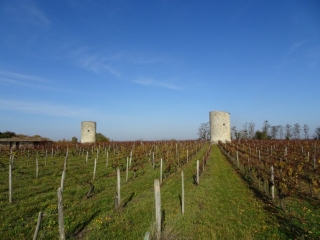 SAILLANS (2)-gironde