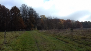 BOUCLE DE CAVIGNAC-gironde