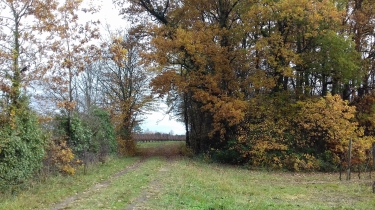 BOUCLE DE CAVIGNAC-gironde