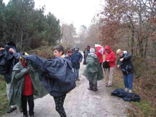 SALAUNES - FORET DOMANIALE-gironde